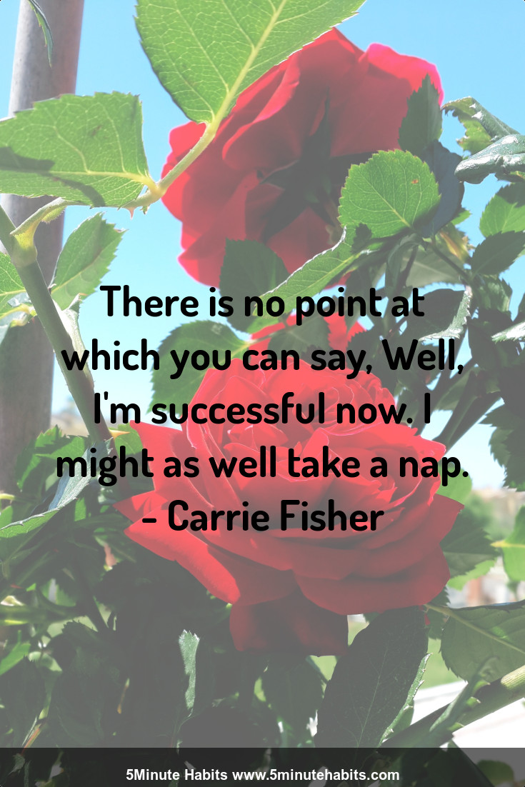There is no point at which you can say, Well, I'm successful now. I might as well take a nap. - Carrie Fisher